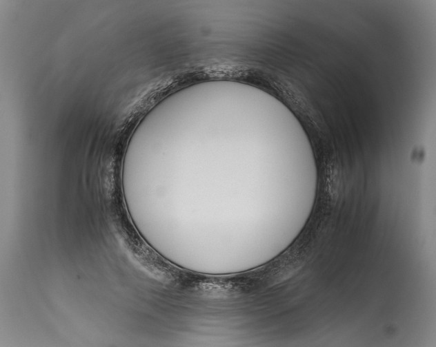 X0000115120690200911171328