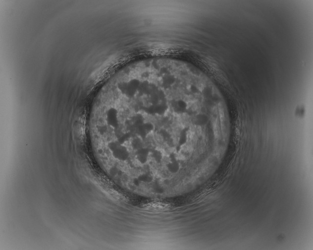 X0000115120691200911171328