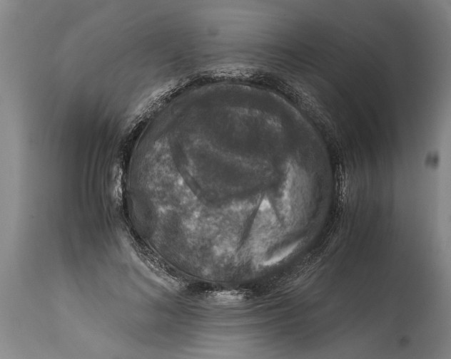 X0000115120692200911171328