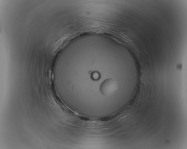 X0000115120693200911171328