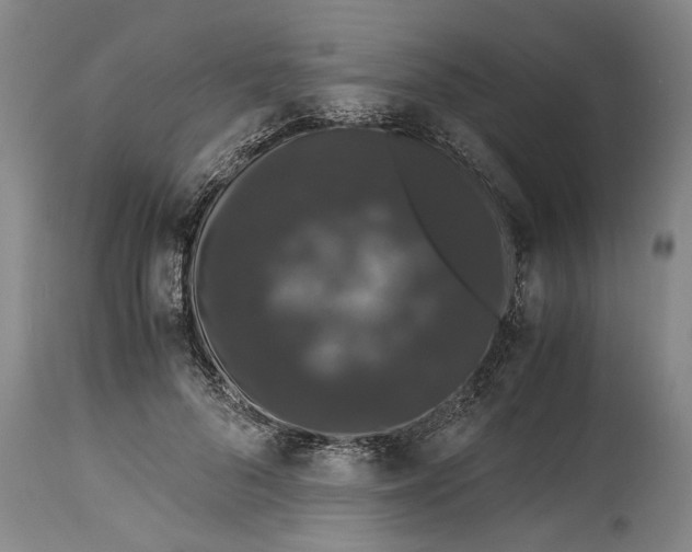 X0000115120696200911171328