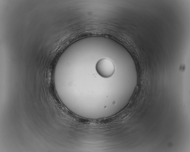 X0000115120697200911171328