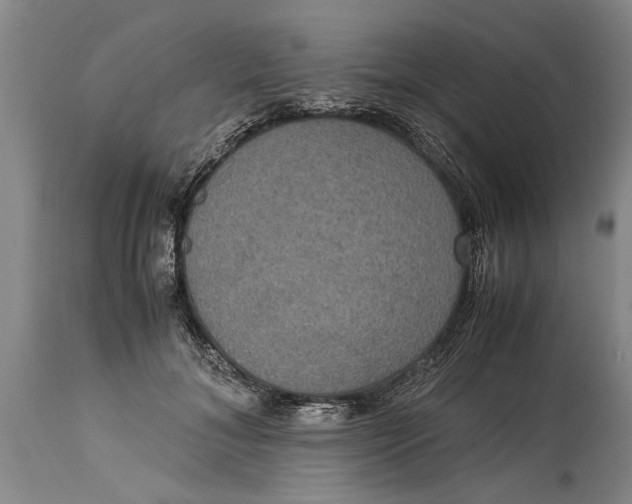 X0000115120700200911171328