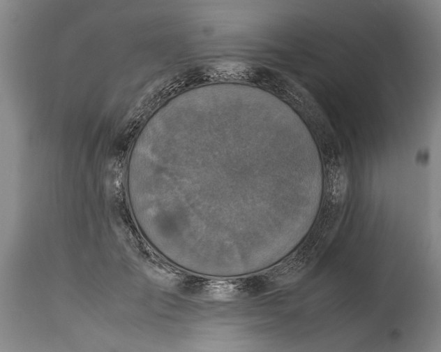 X0000115120701200911171328