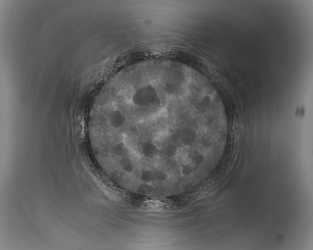 X0000115120703200911171328