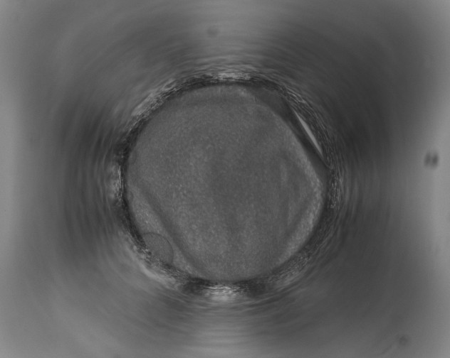 X0000115120704200911171328