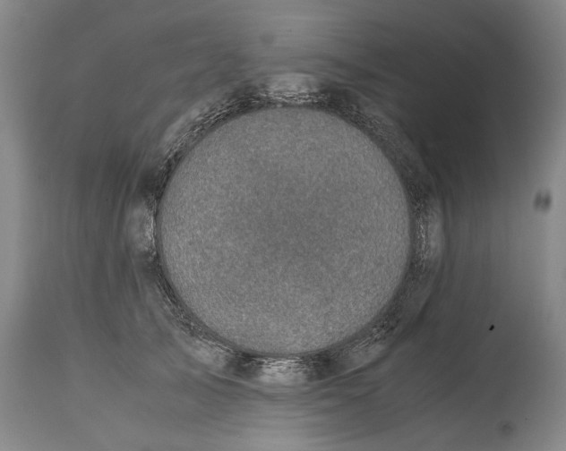 X0000115120705200911171328
