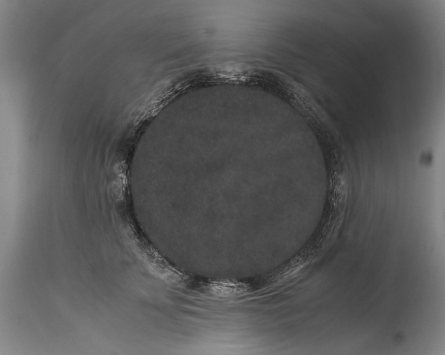 X0000115120707200911171328