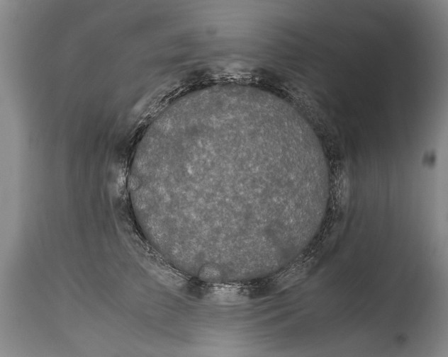 X0000115120709200911171328