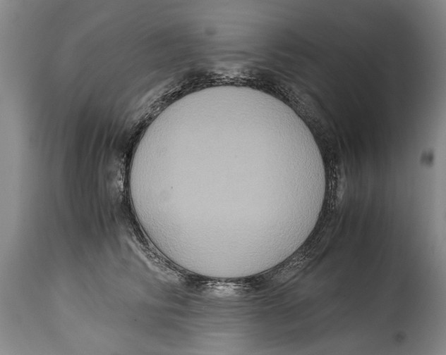 X0000115120710200911171328