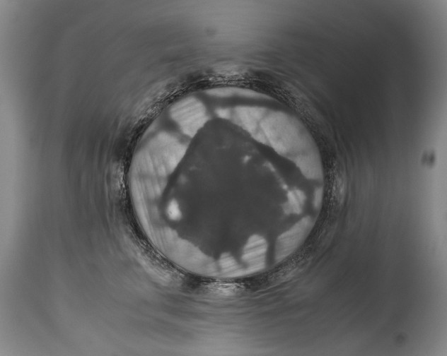 X0000115120711200911171328