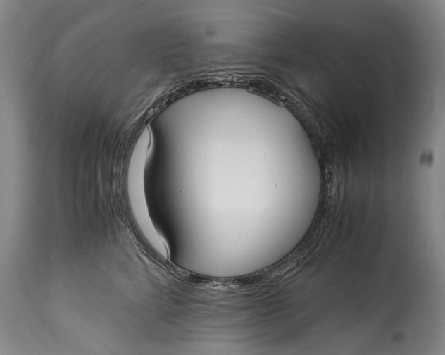 X0000115120712200911171328