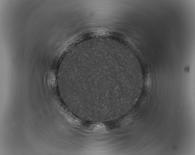 X0000115120715200911171328