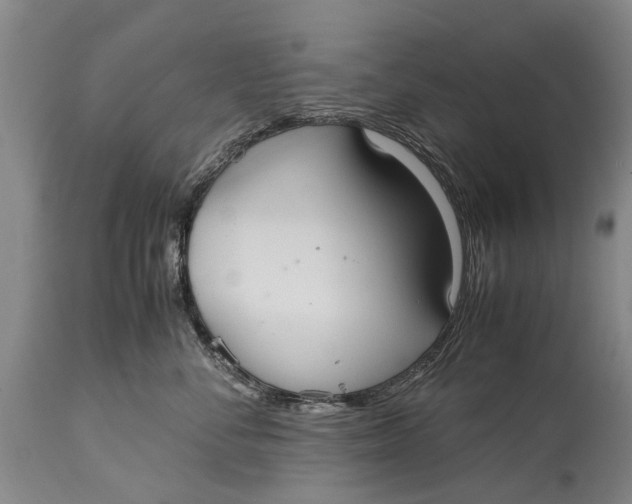 X0000115120716200911171328