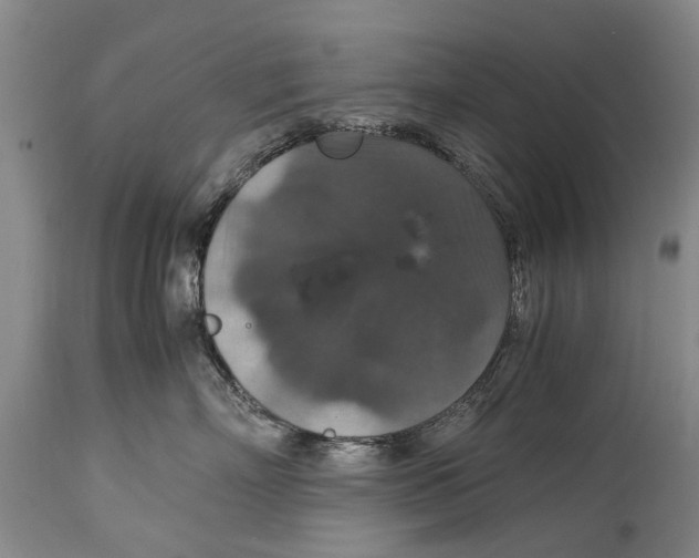 X0000115120718200911171328