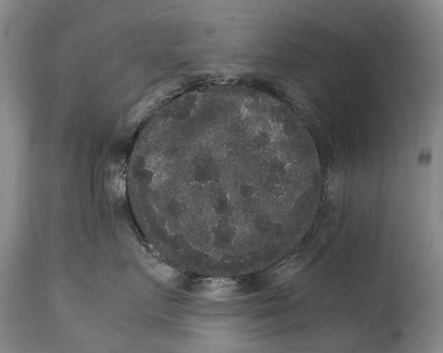 X0000115120719200911171328
