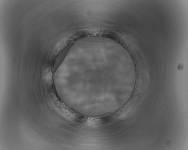 X0000115120720200911171328