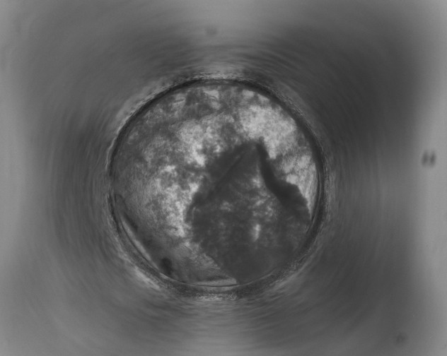 X0000115120721200911171327