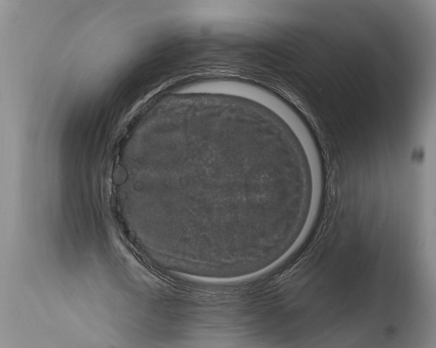 X0000115120722200911171327