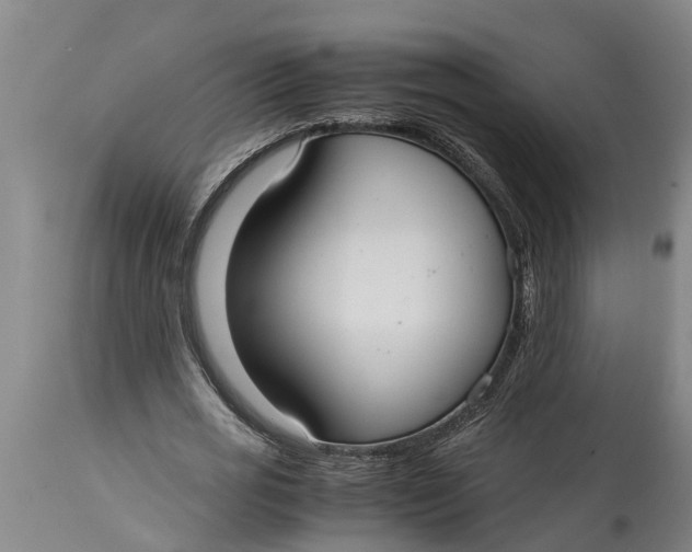 X0000115120725200911171327
