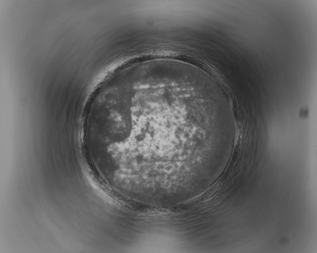 X0000115120726200911171327