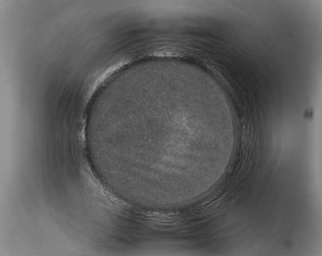 X0000115120727200911171327