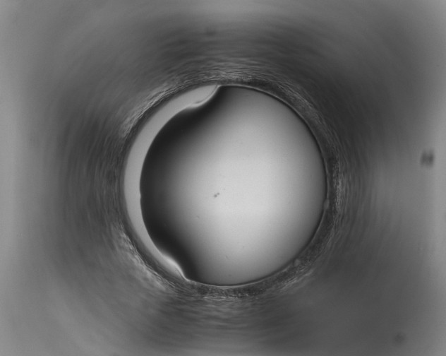 X0000115120729200911171327