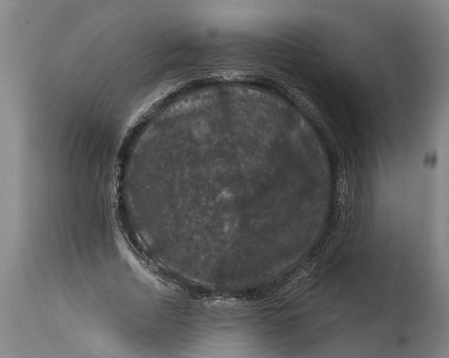 X0000115120730200911171327