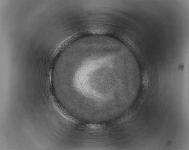 X0000115120733200911171327
