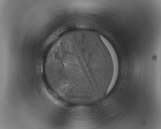 X0000115120734200911171327