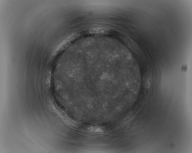 X0000115120735200911171327
