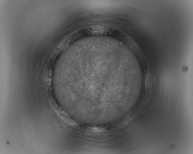 X0000115120737200911171327