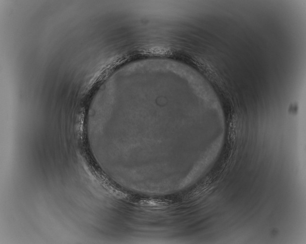 X0000115120739200911171327