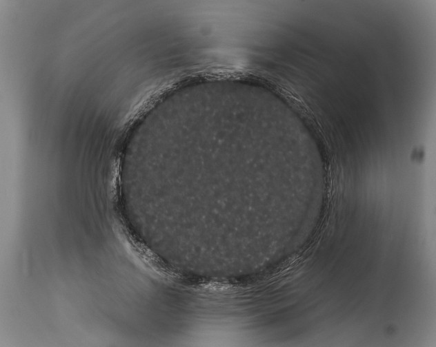 X0000115120742200911171327