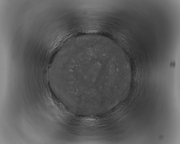X0000115120743200911171327