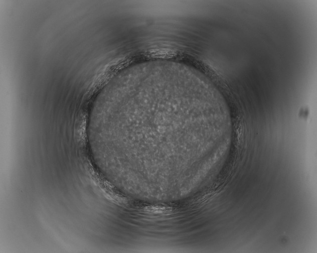 X0000115120745200911171327