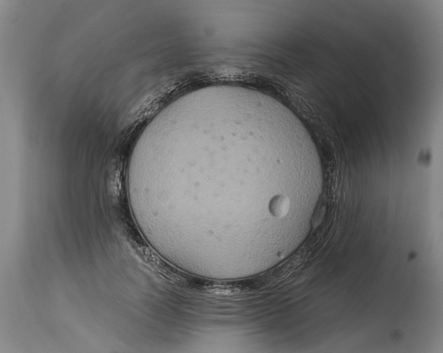 X0000115120746200911171327