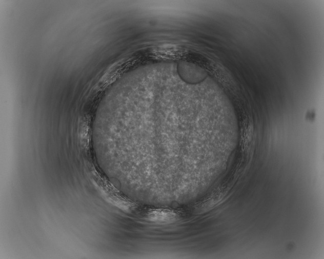 X0000115120749200911171327