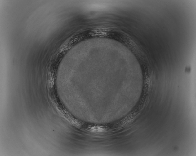 X0000115120751200911171327