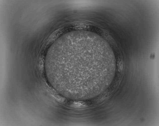 X0000115120753200911171327