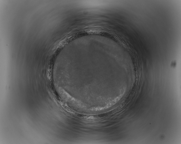 X0000115120755200911171327