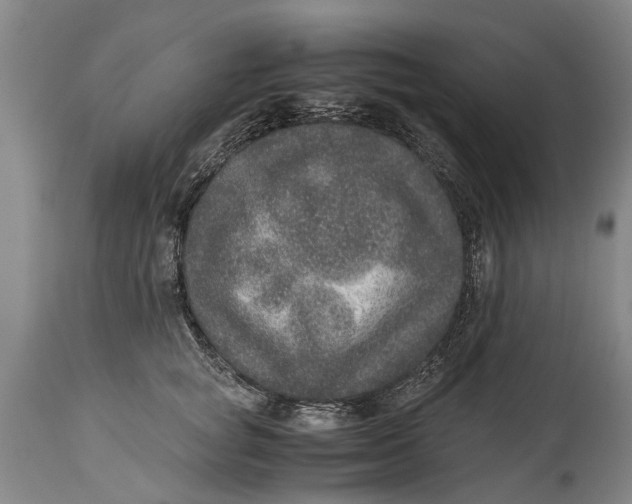 X0000115120757200911171327
