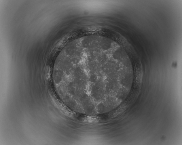 X0000115120758200911171327