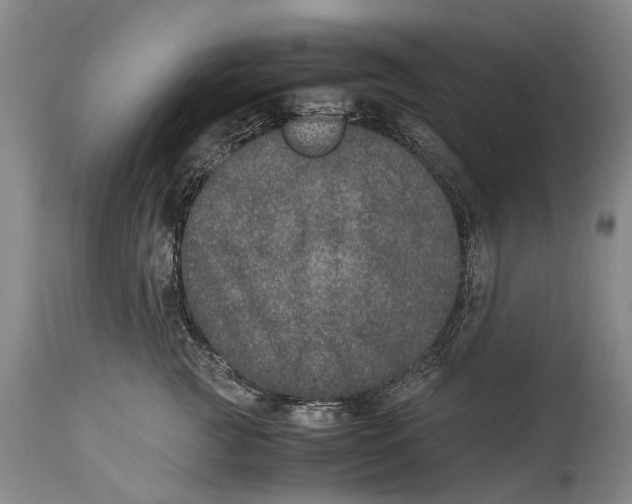 X0000115120761200911171327