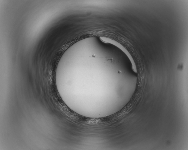 X0000115120762200911171328