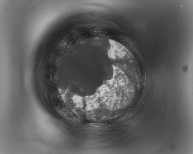 X0000115120763200911171328