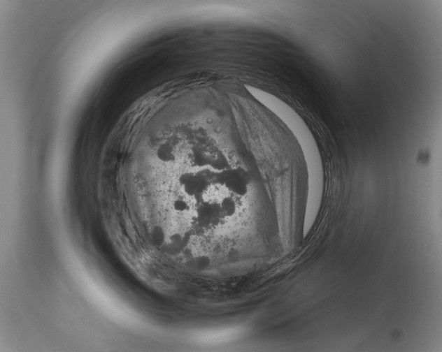 X0000115120765200911171328