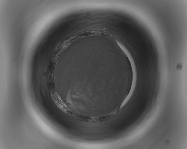 X0000115120767200911171328