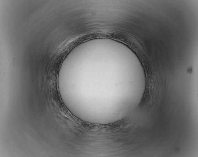 X0000115120773200911171327
