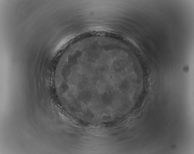 X0000115120775200911171327